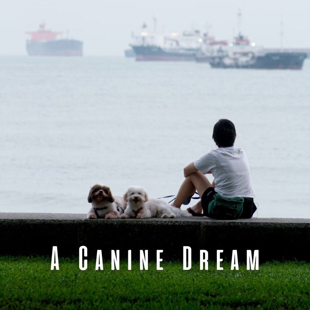 Picture of A Canine Dream: Ambient Music for Dogs