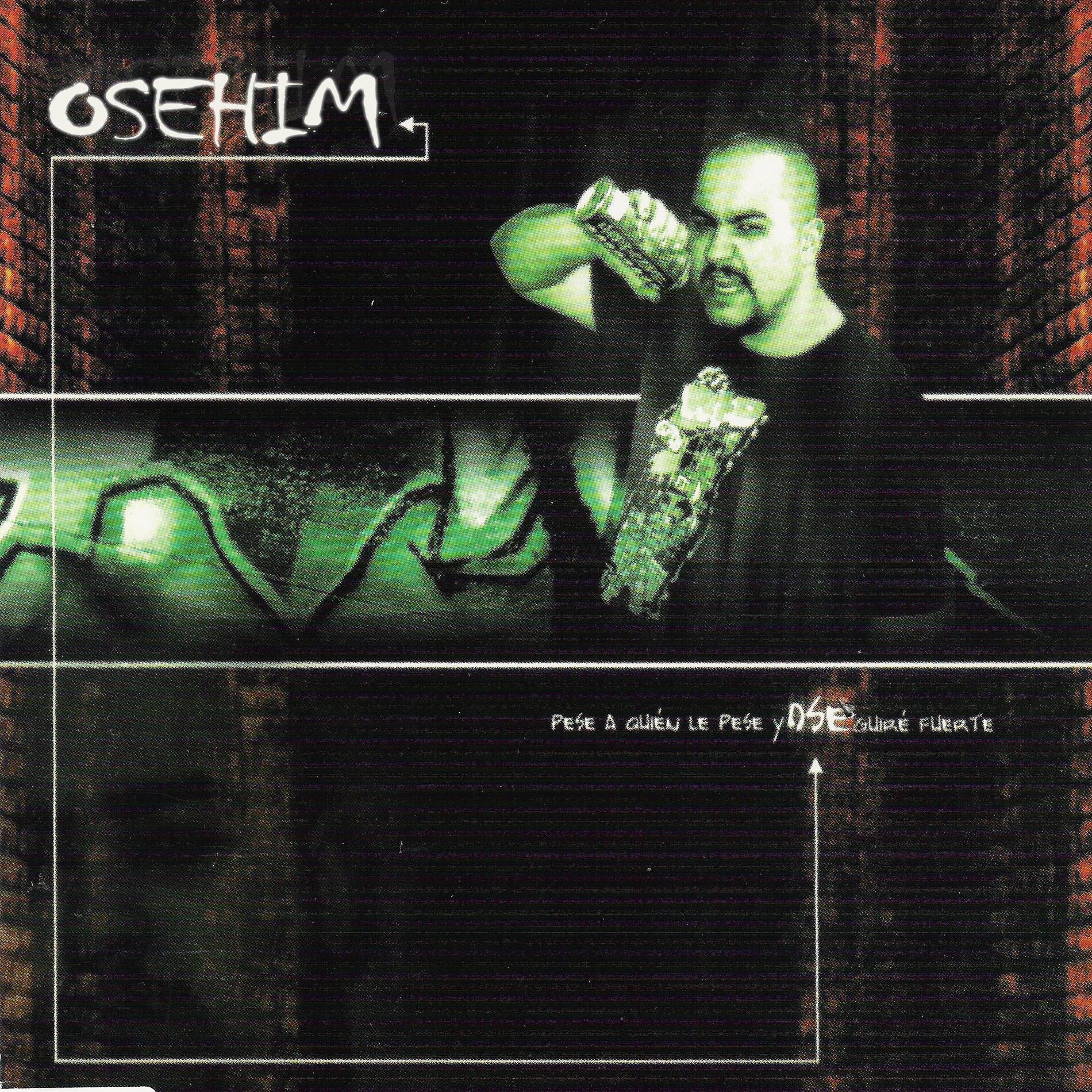 Album cover of Pese a quién le pese yo seguiré fuerte