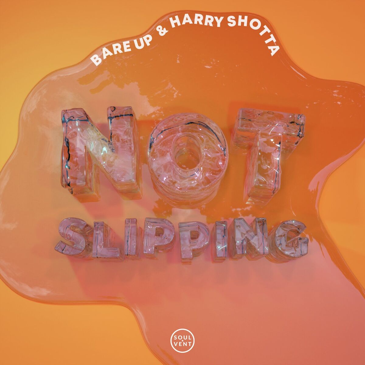 Album cover of Not Slipping