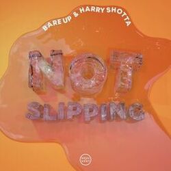 Cover of Not Slipping