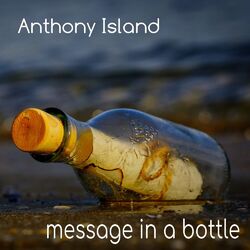 Cover of Message in a Bottle