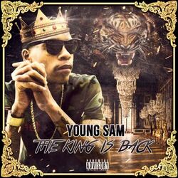 Cover of The King Is Back
