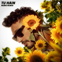 Cover of Tu Hain (Nemo Remix)