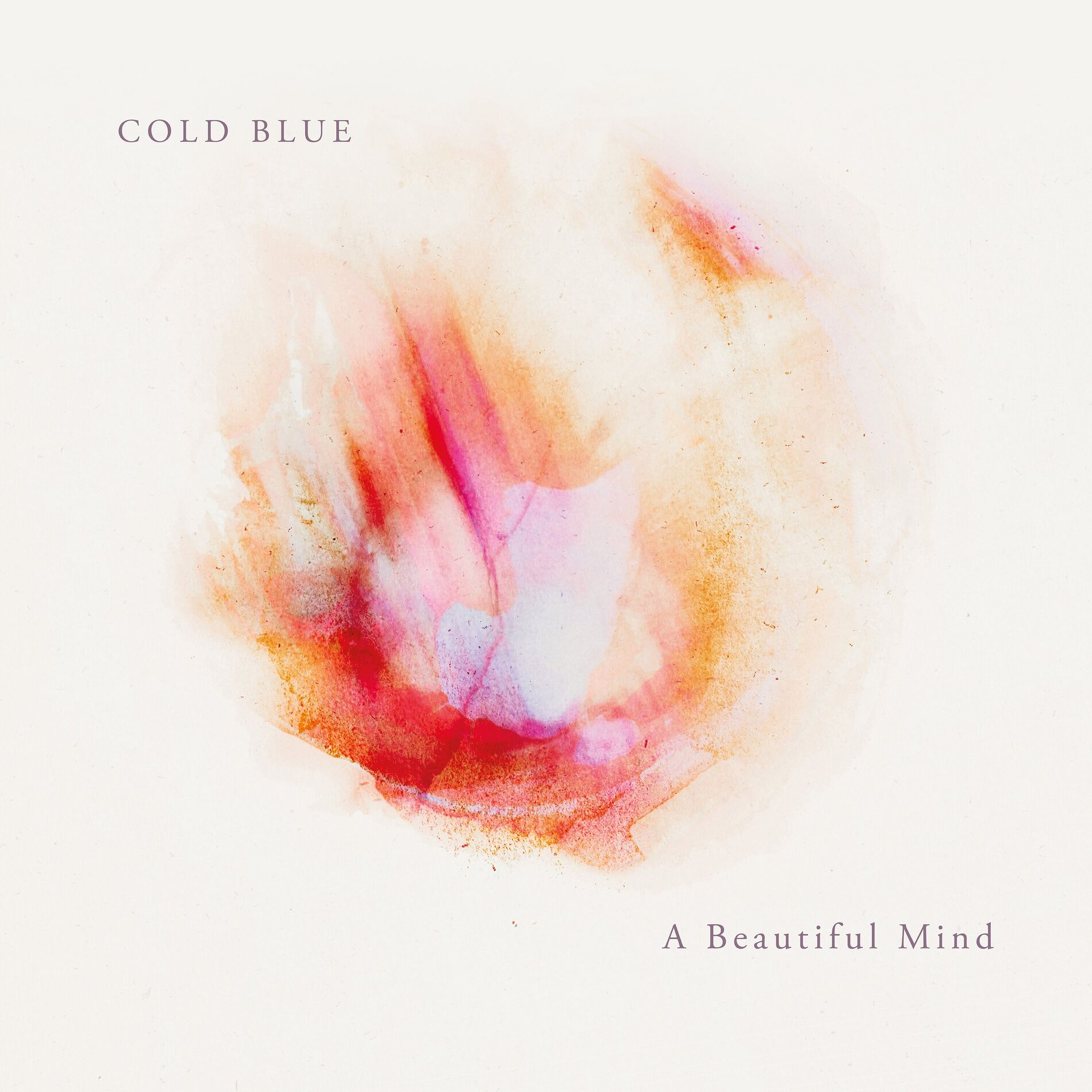 Album cover of A Beautiful Mind