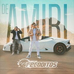 Cover of DE AMIRI