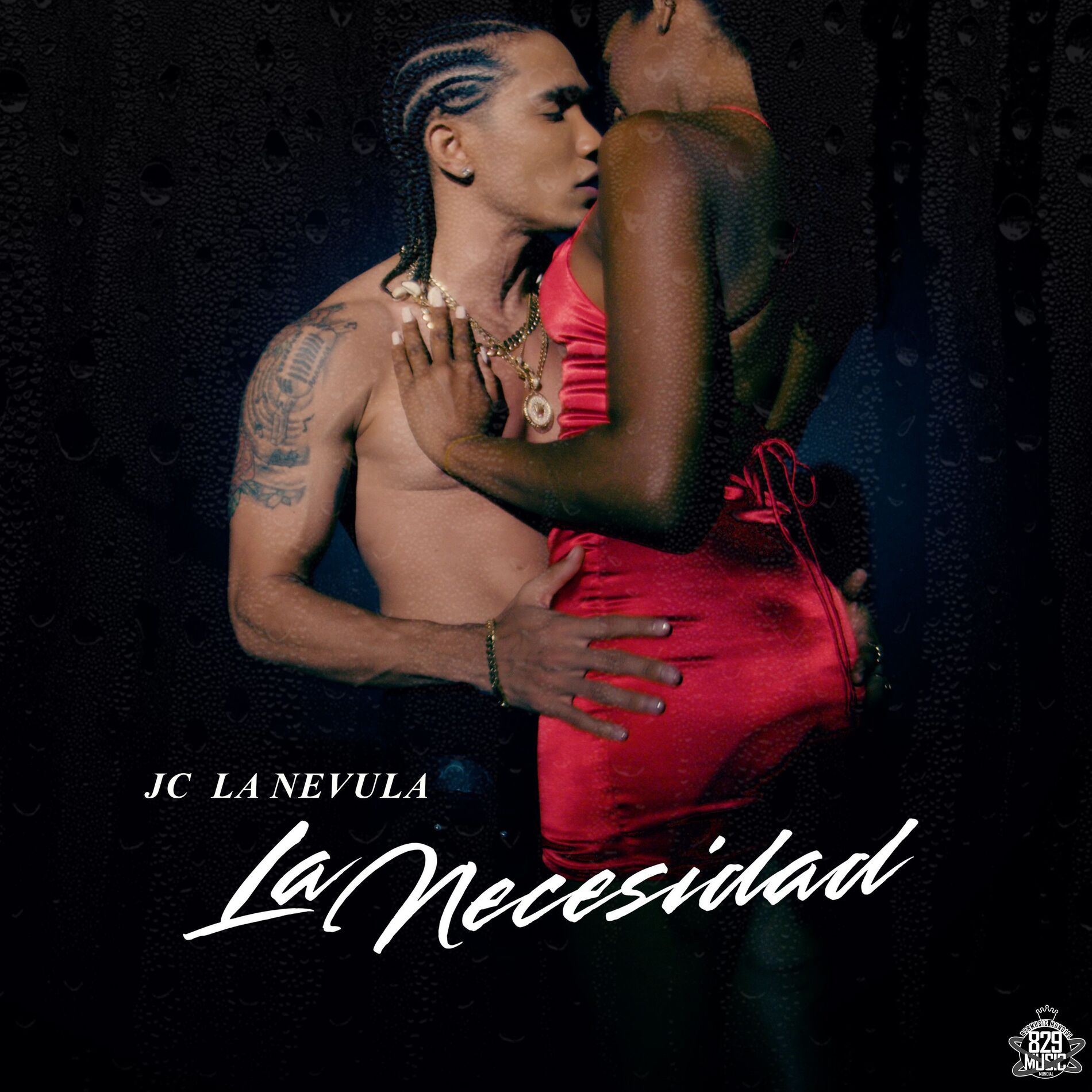 Album cover of La Necesidad