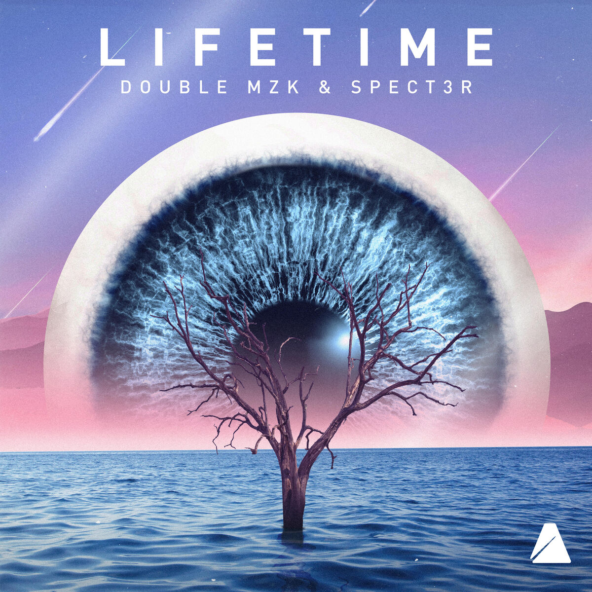 Album cover of Lifetime