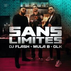 Cover of Sans Limites