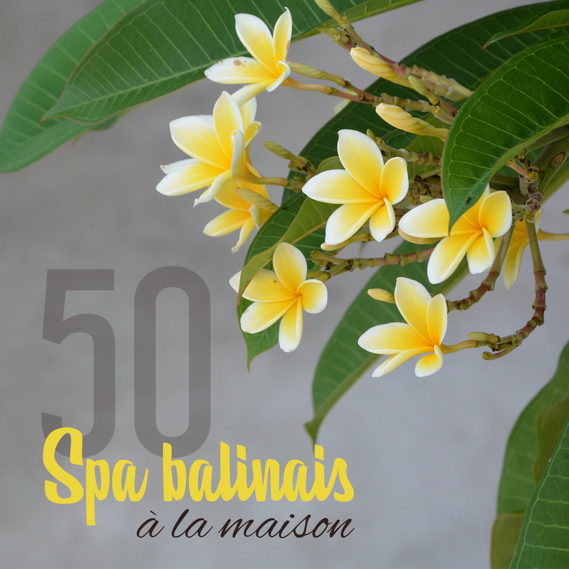 Album cover of 50 Spa balinais à la maison – Musicothérapie pour massage et bien-être, Sons relaxants de la nature