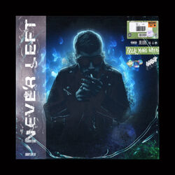 Cover of I Never Left