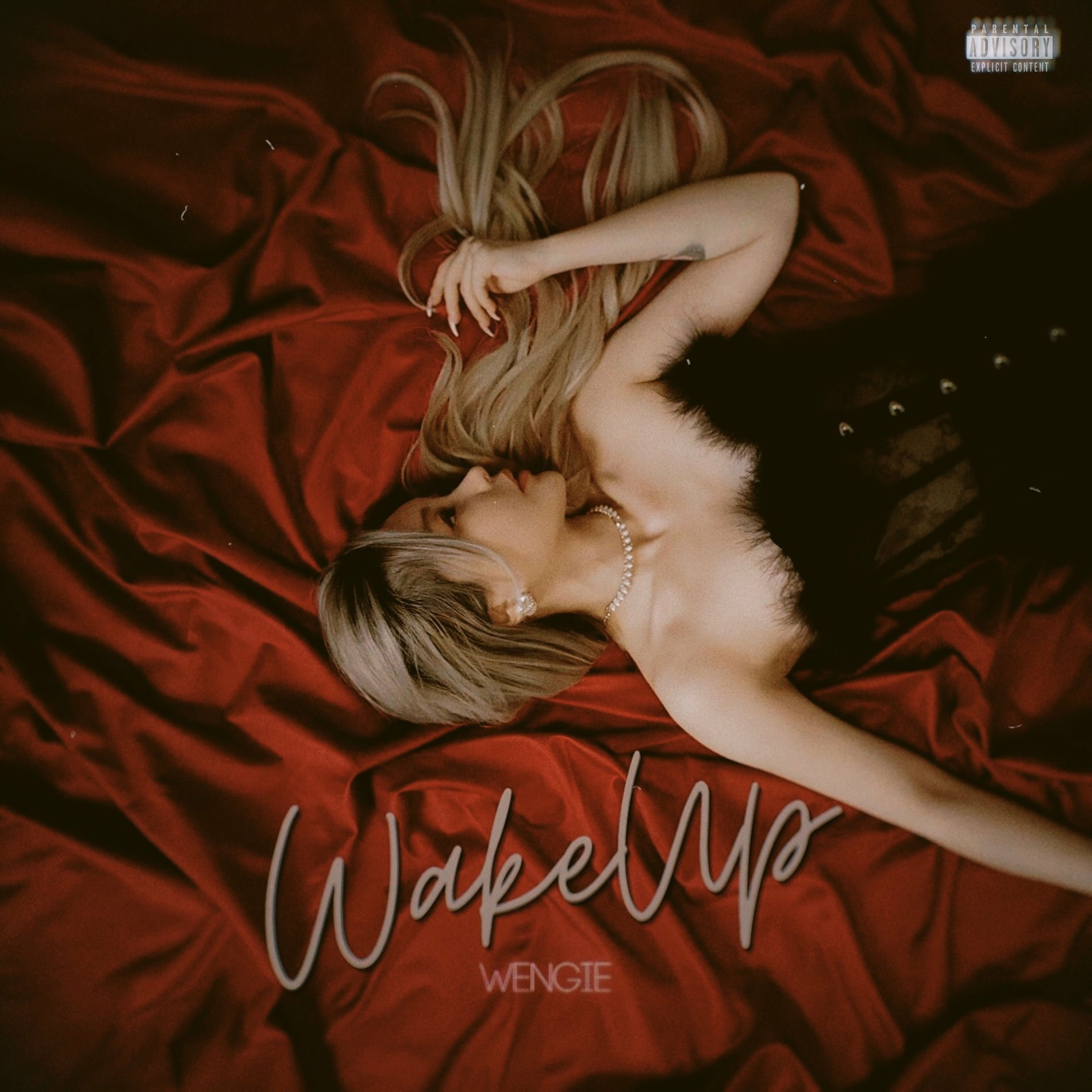 Album cover of Wake Up