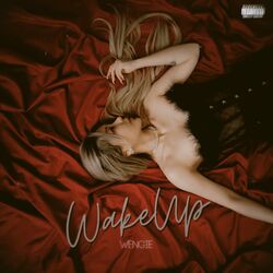 Cover of Wake Up