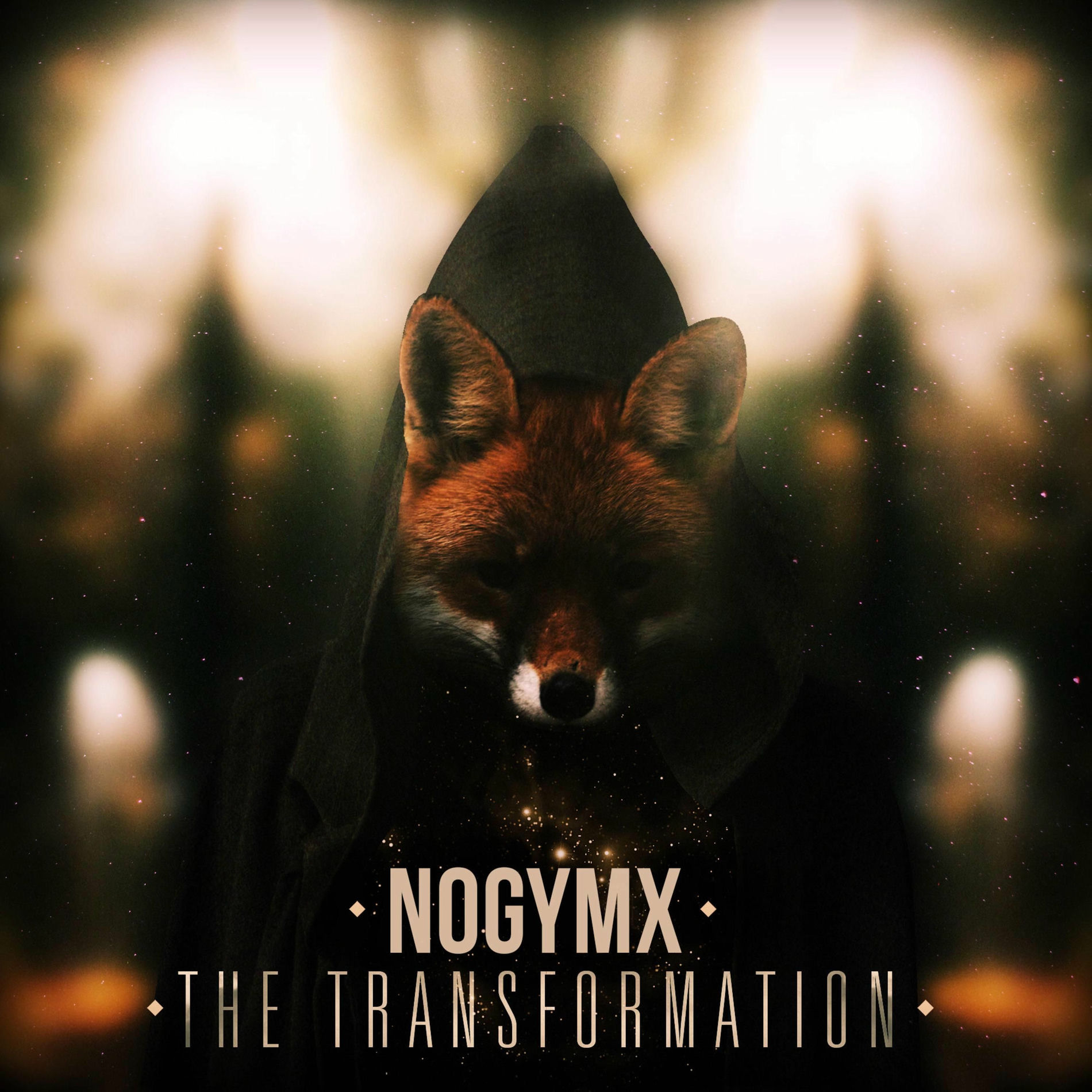 Album cover of The Transformation