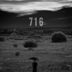 Cover of 716
