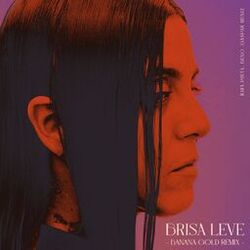 Cover of Brisa Leve (Banana Gold Remix)
