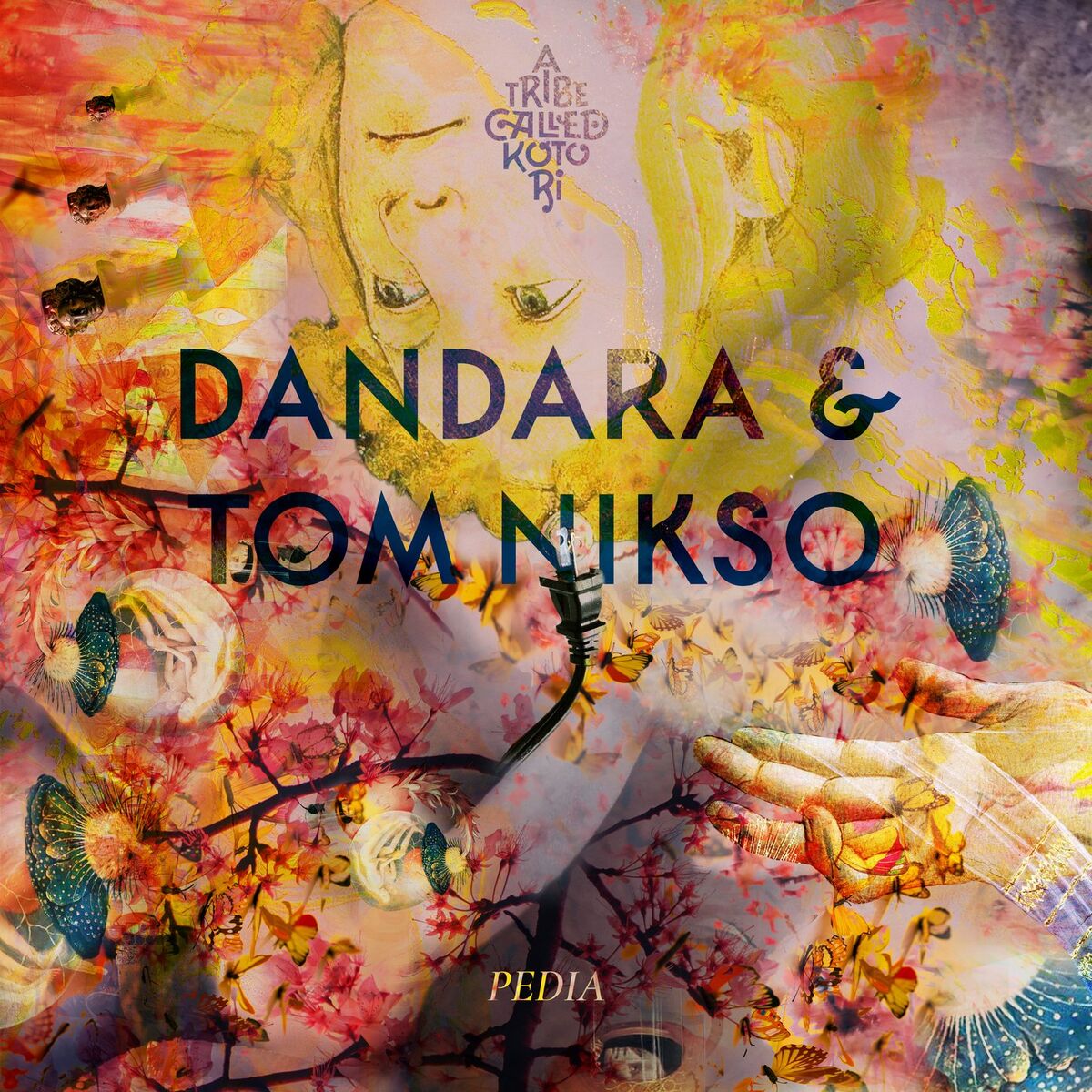 Album cover of Pédia