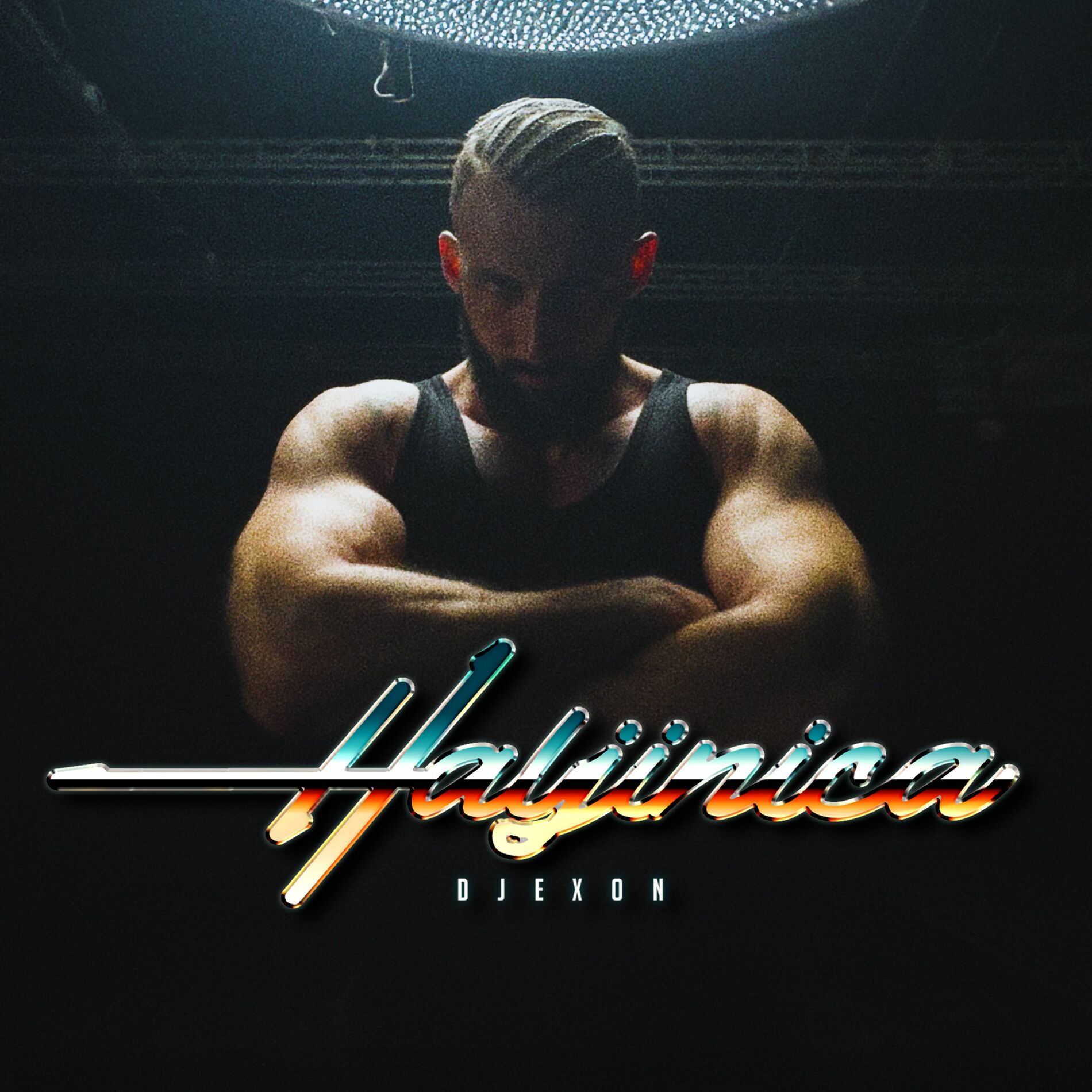 Album cover of Haljinica