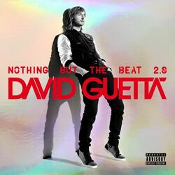 Cover of Nothing but the Beat 2.0