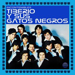 Cover of Incontenibles