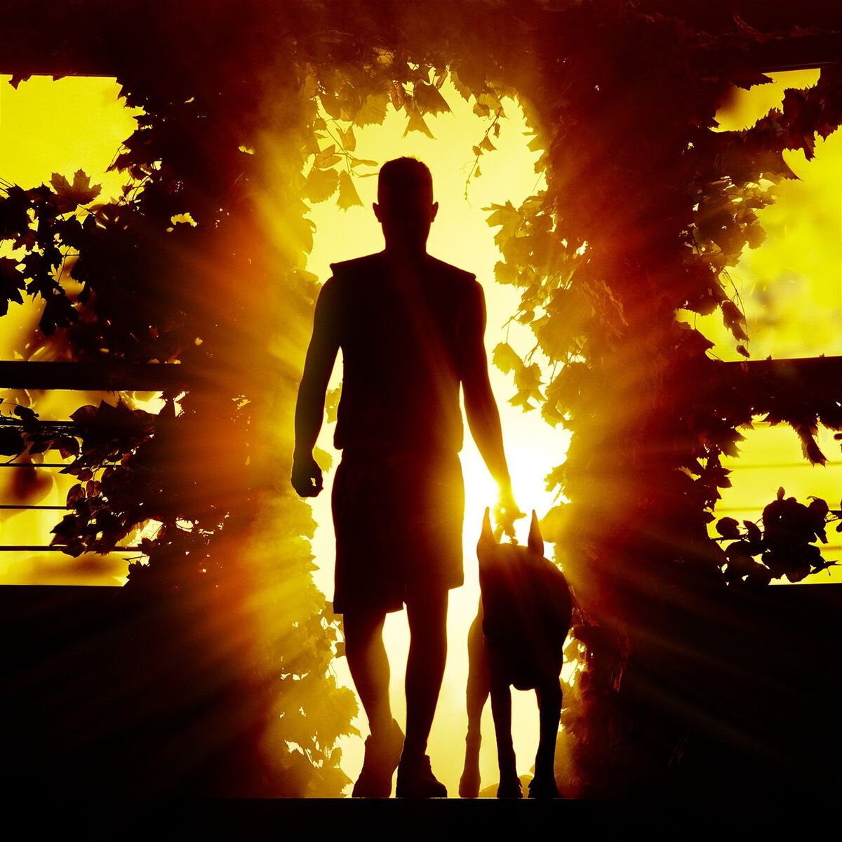 Album cover of Mowgli