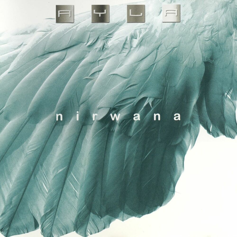 Picture of Nirwana