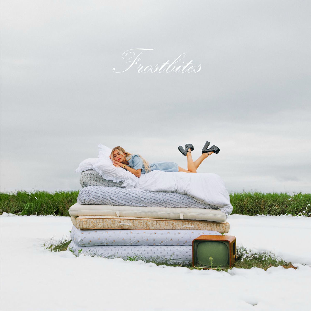 Album cover of Frostbites