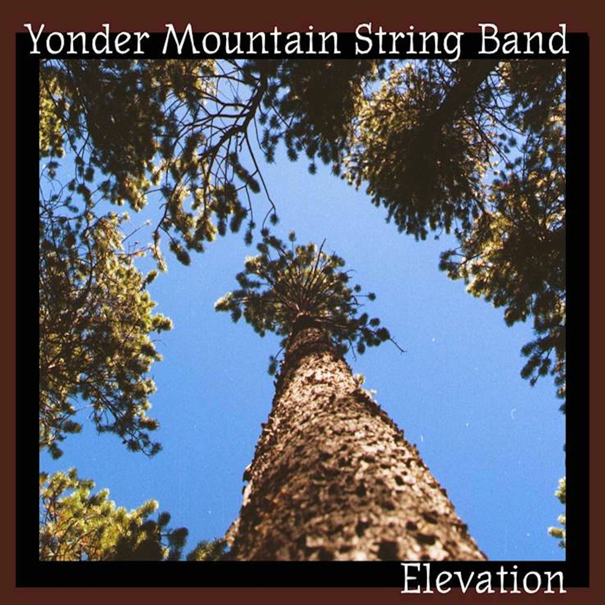 Album cover of Elevation