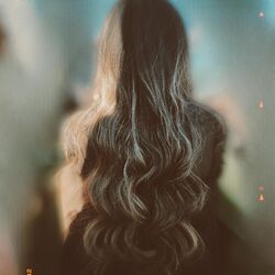 Cover of The K Tapes