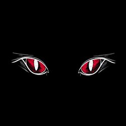 Cover of Scaredy Catty