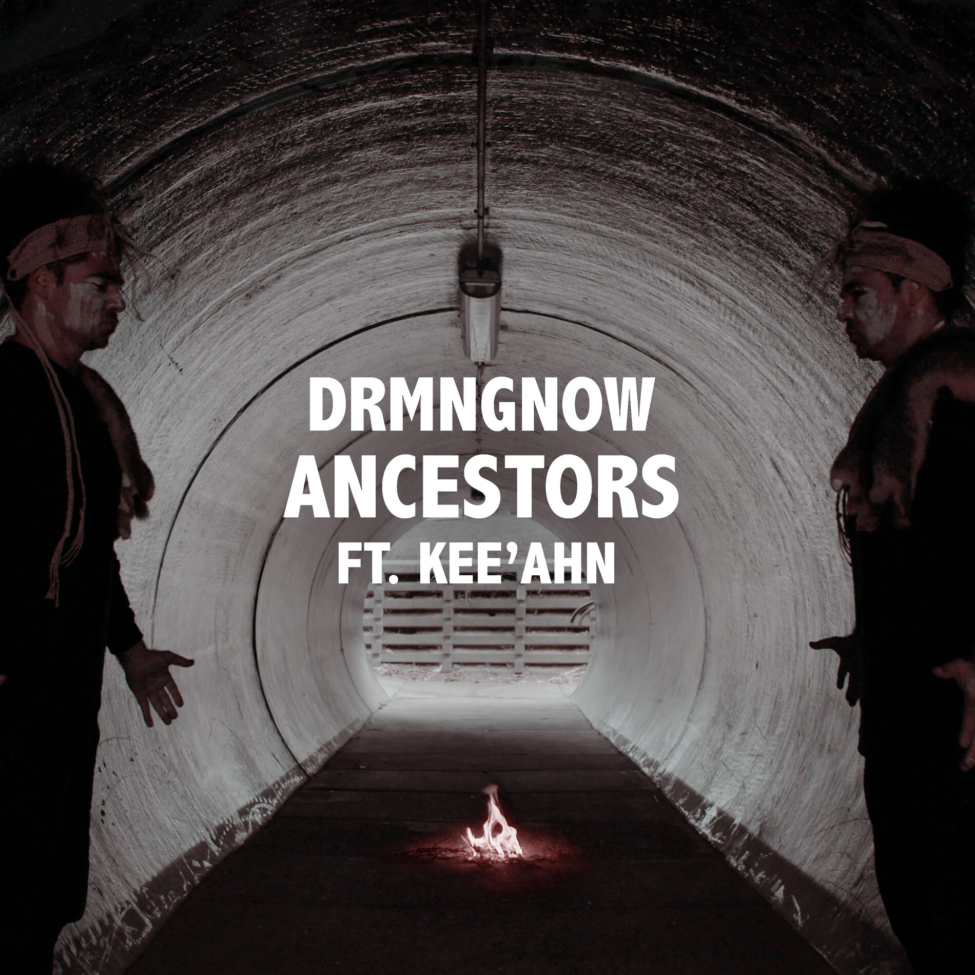 Album cover of Ancestors