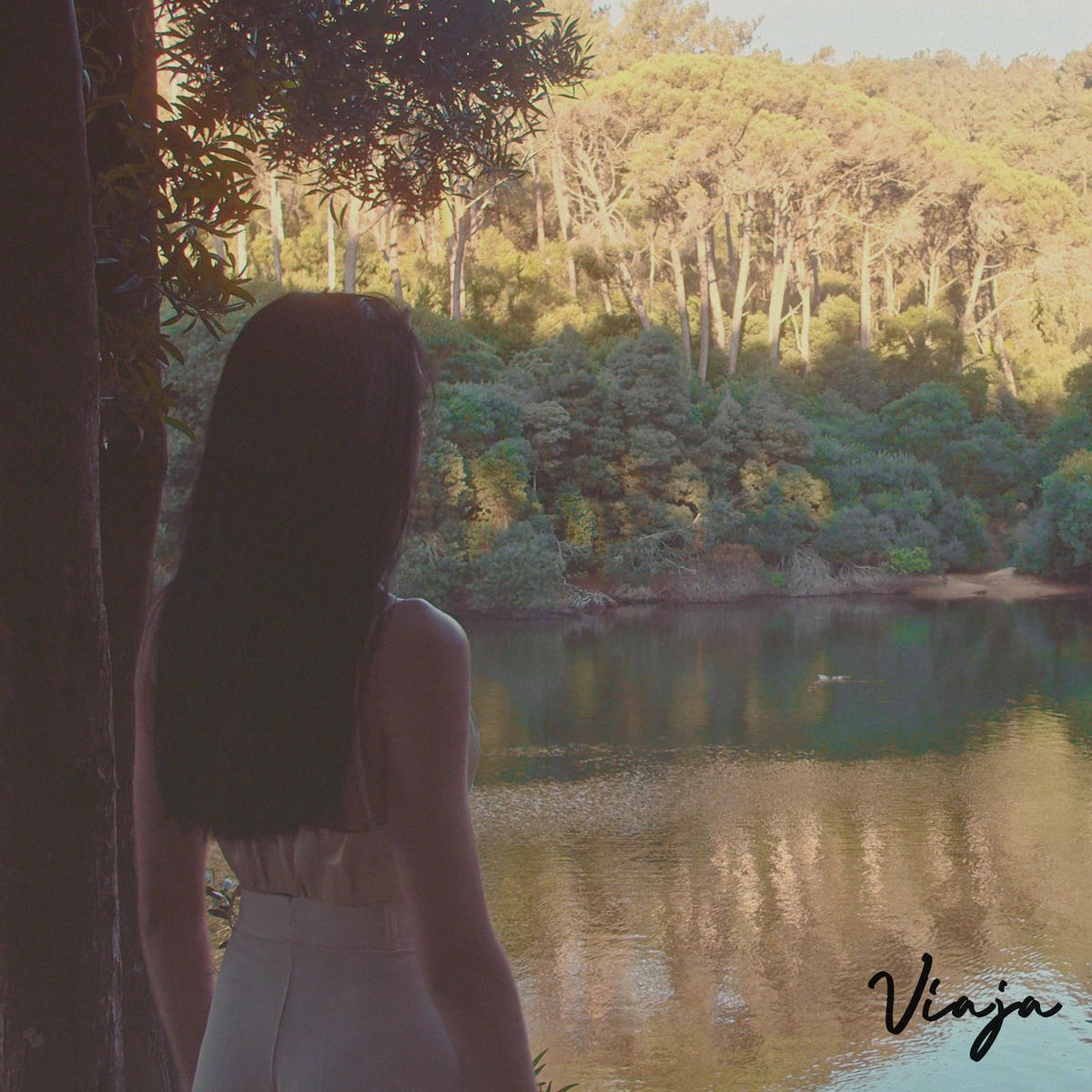 Album cover of Viaja (feat. Phoenix Rdc & Lila)