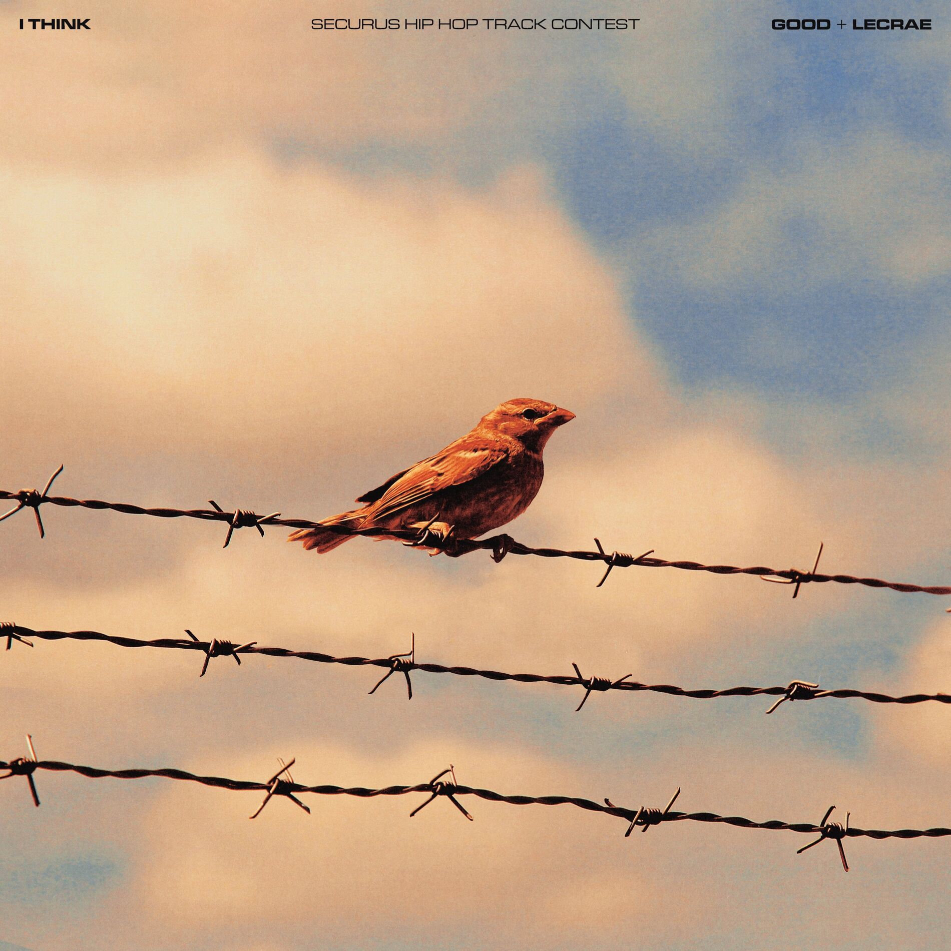 Album cover of I Think (Securus Original Hip Hop Track Winner, Carmela Mose)