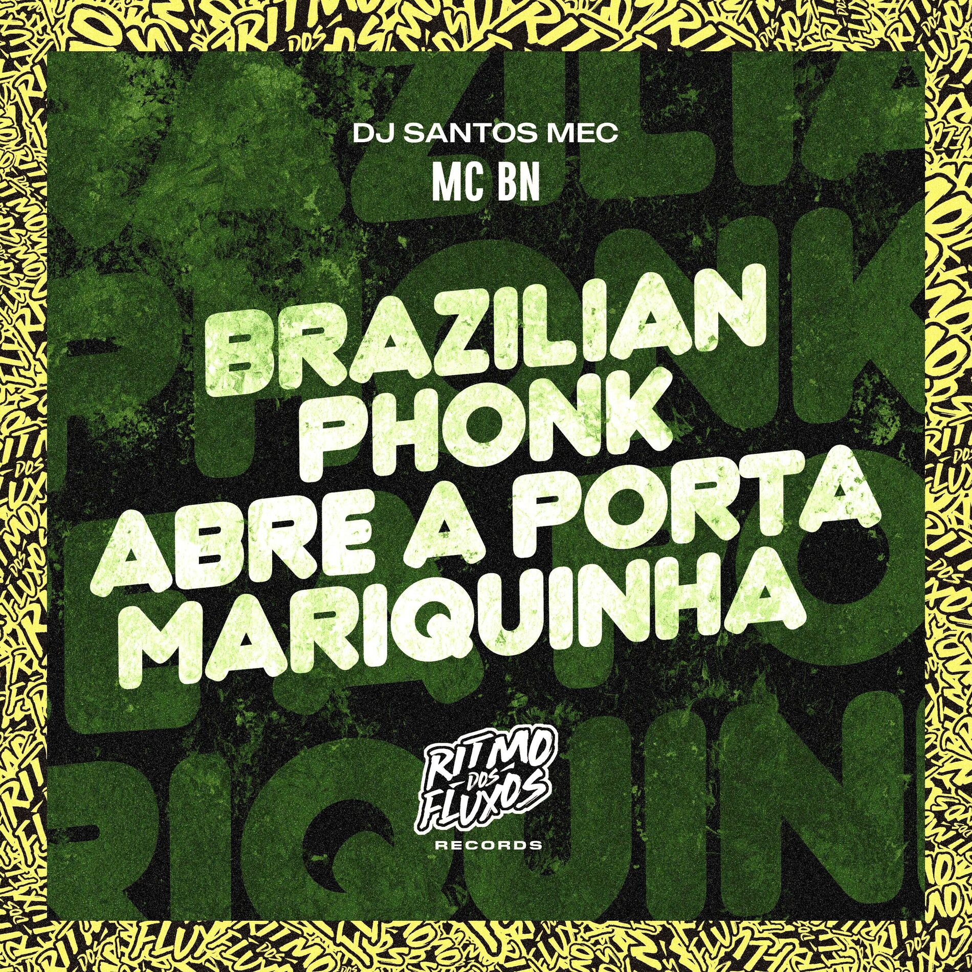 Album cover of Brazilian Phonk Abre a Porta Mariquinha