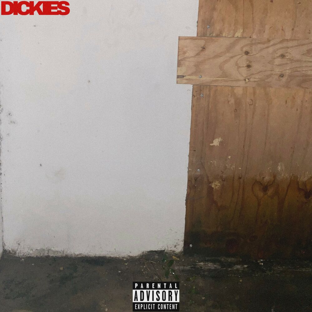 Picture of DICKIES
