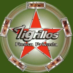 Cover of Fiesta Privada