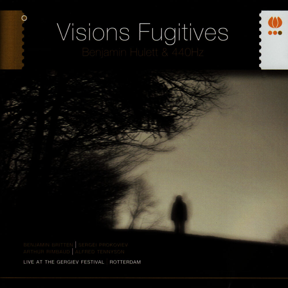 Picture of Visions Fugitives