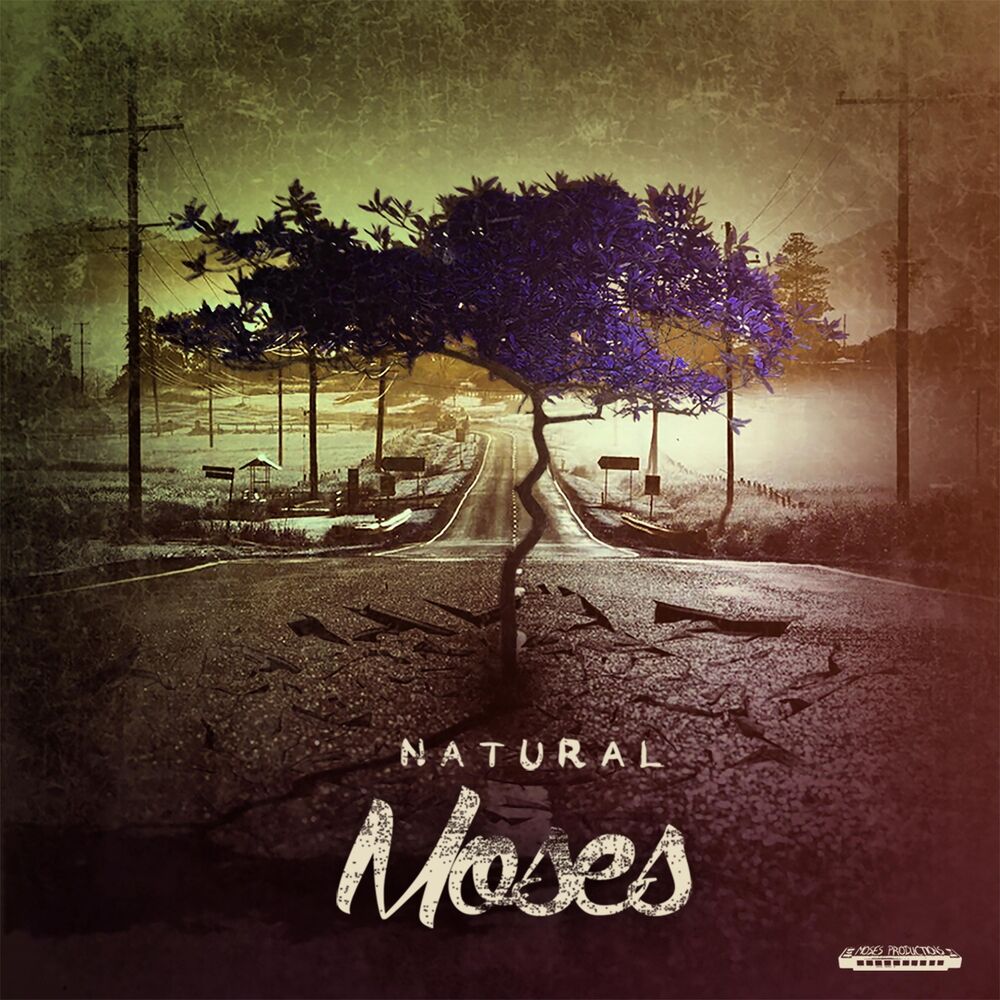 Picture of Natural Moses