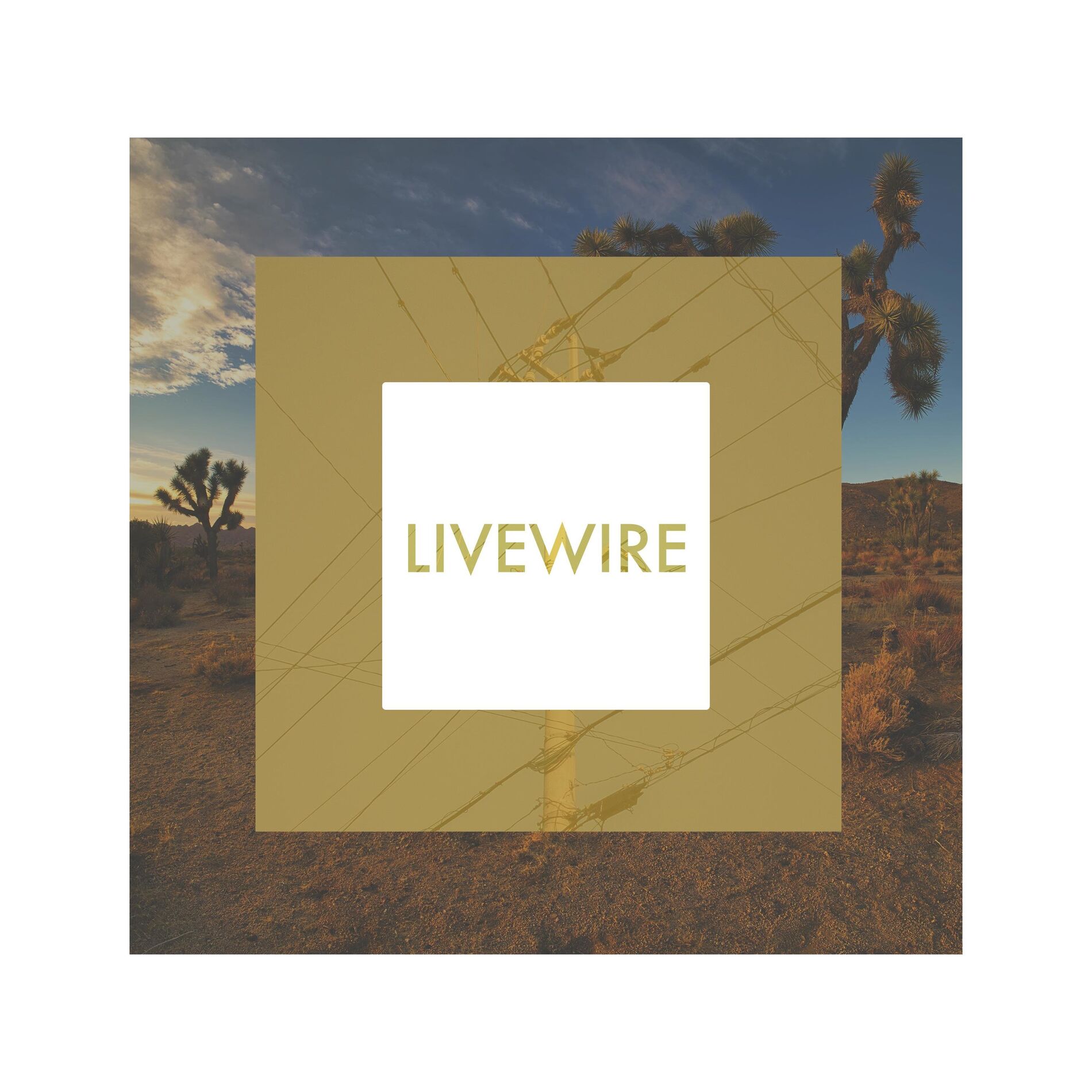 Album cover of Live Wire