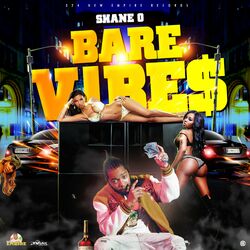 Cover of Bare Vibes
