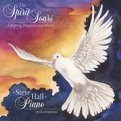 Cover of The Spirit Soars