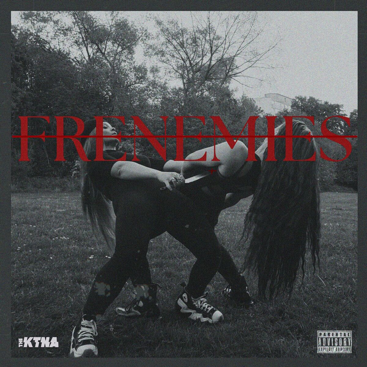 Album cover of Frenemies