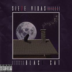 Cover of SIE7E VIDAS