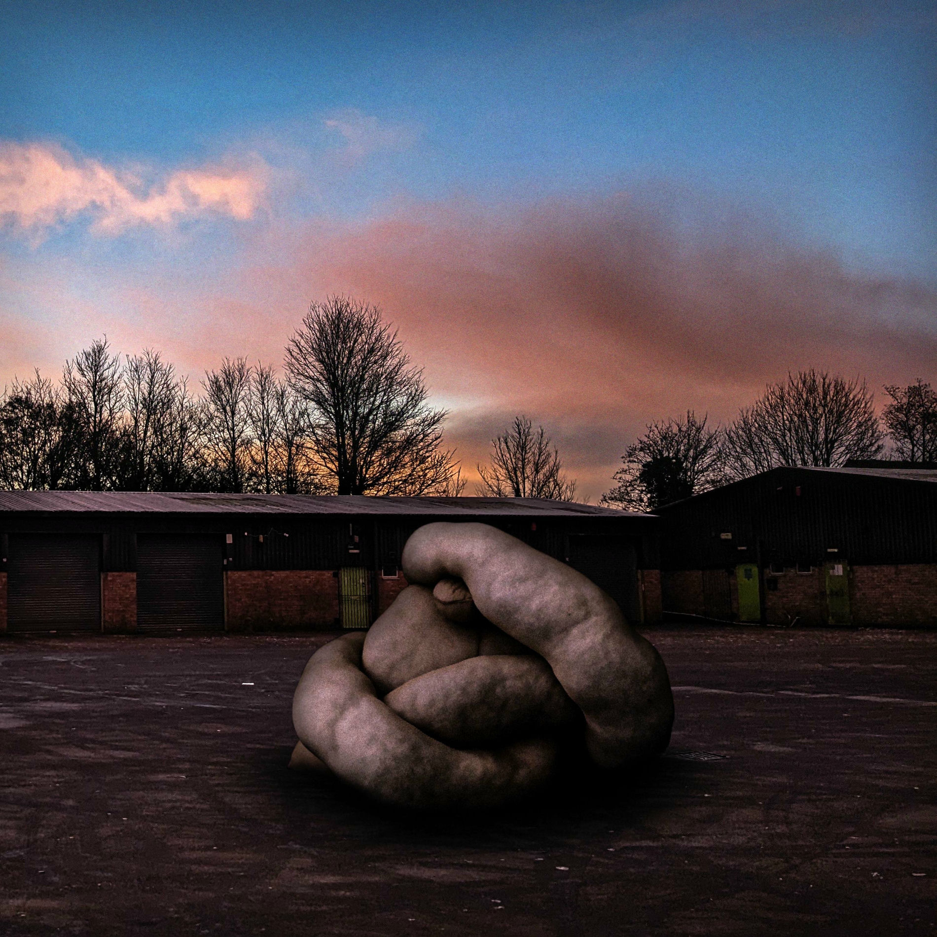Album cover of A Picture Of Perfect Health