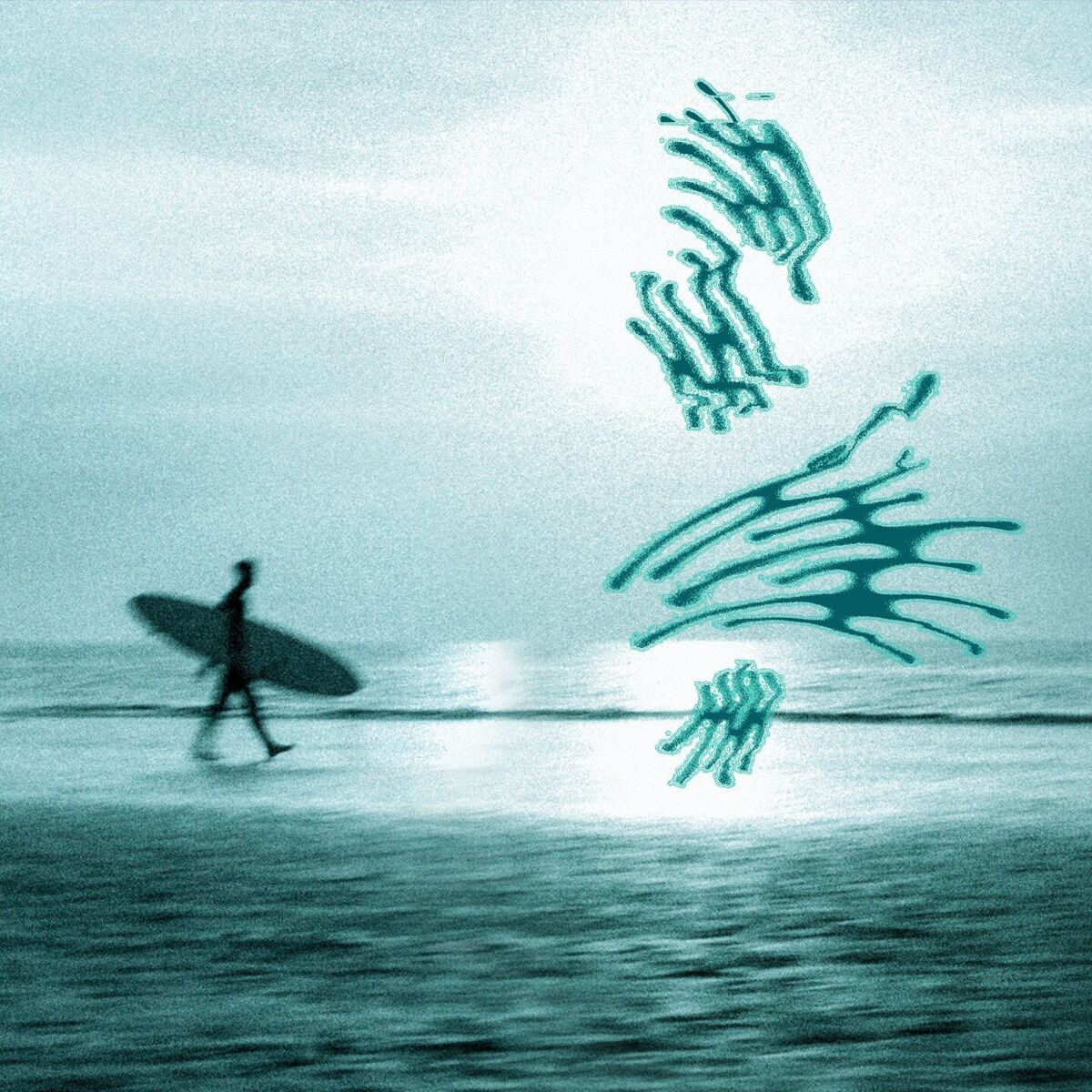 Album cover of Coves