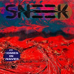 Cover of It Comes In Waves