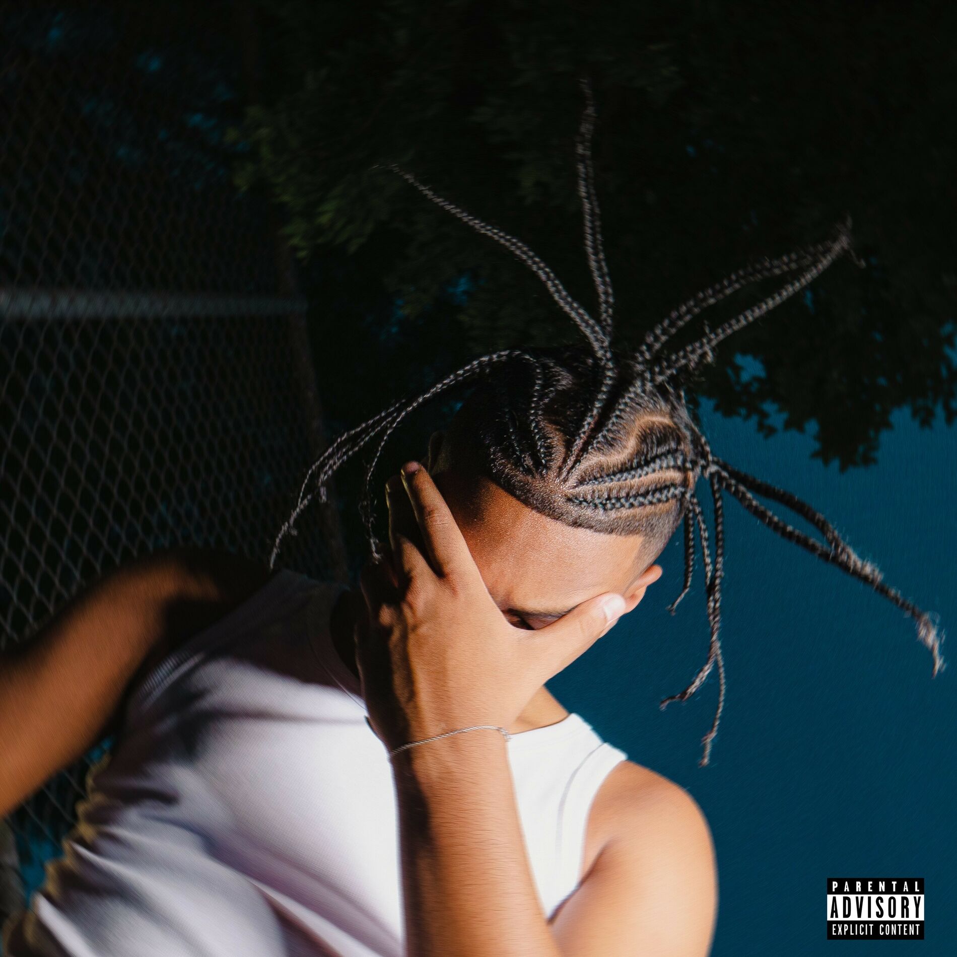 Album cover of Playboy Preto