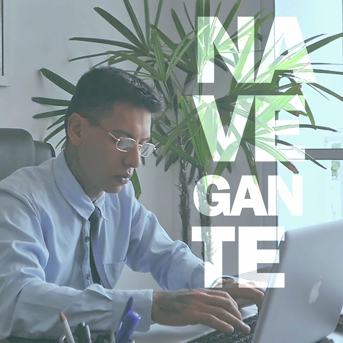 Album cover of Navegante