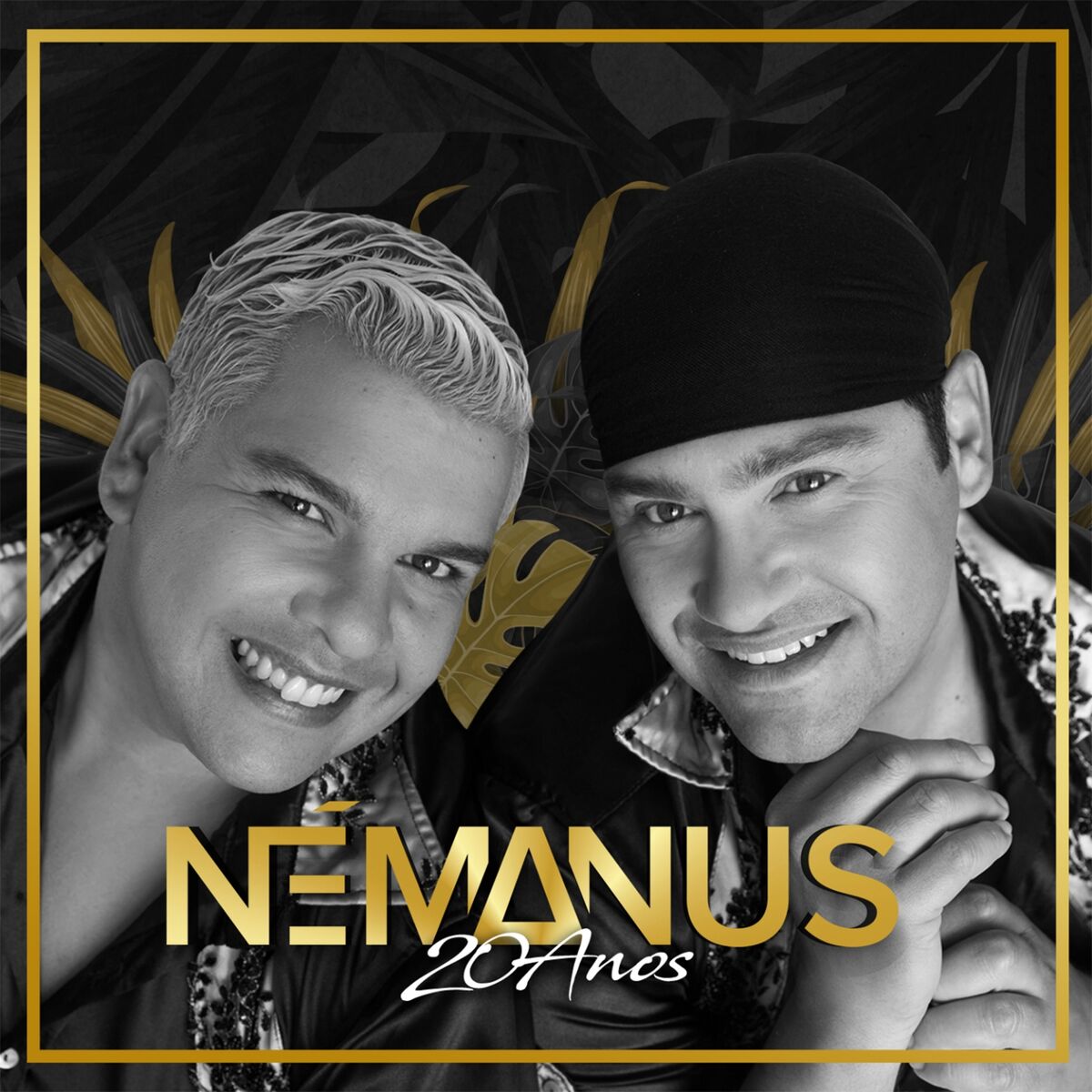 Album cover of 20 Anos