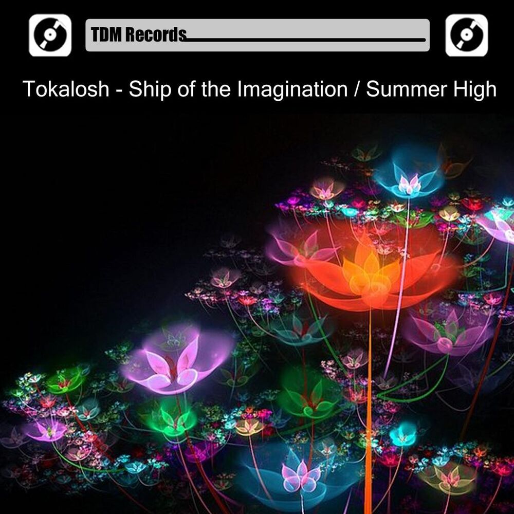 Picture of Ship of the Imagination / Summer High