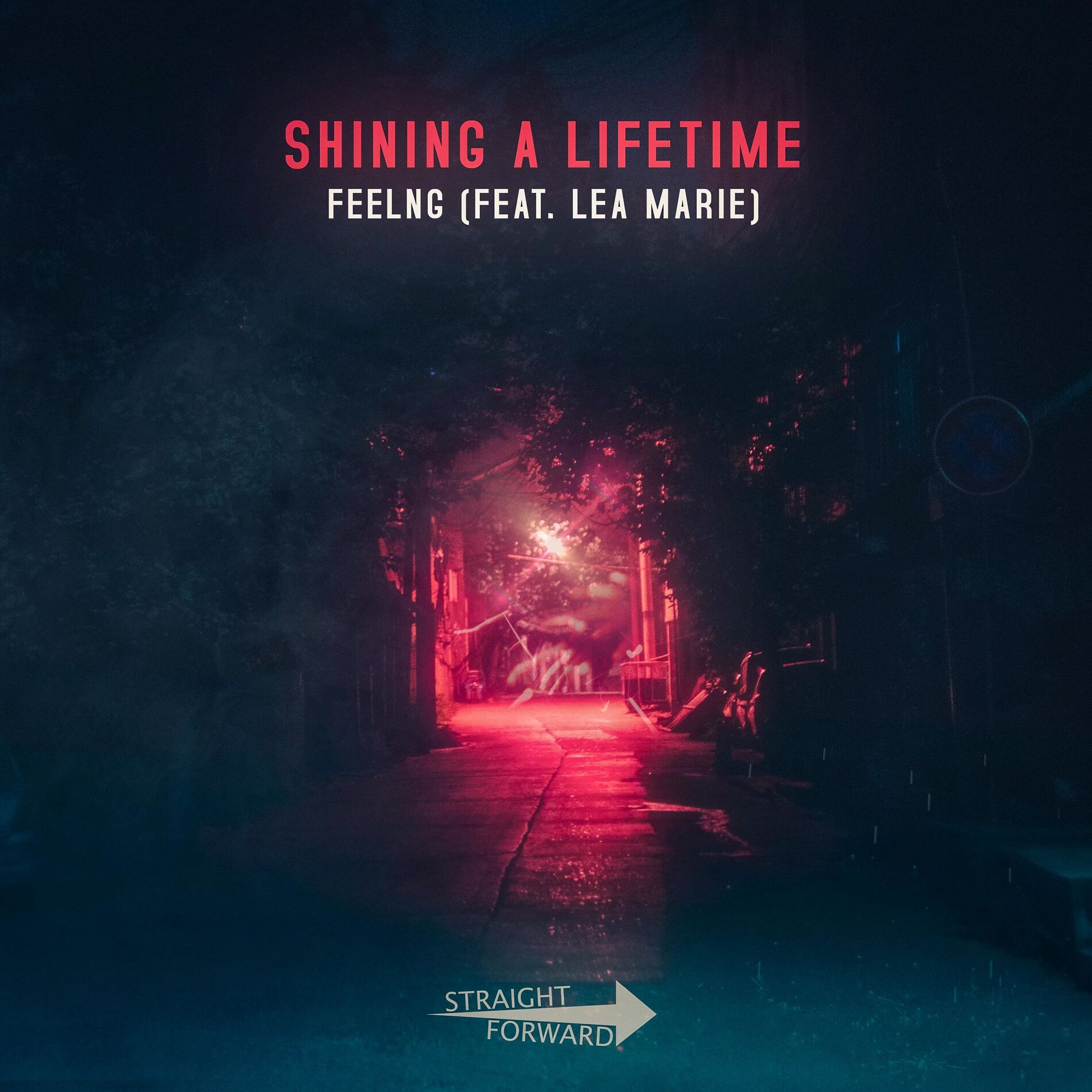 Album cover of Shining a Lifetime (feat. Lea Marie)